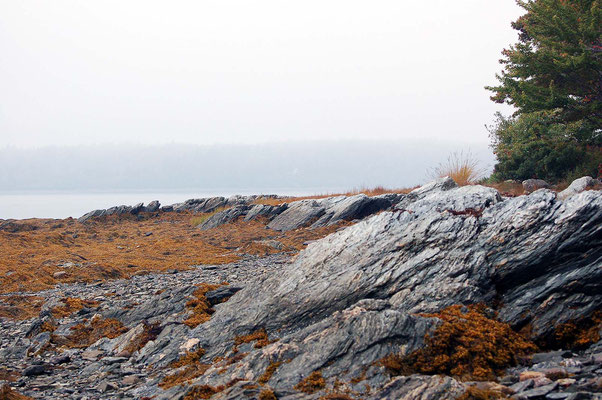 Lamoine State Park