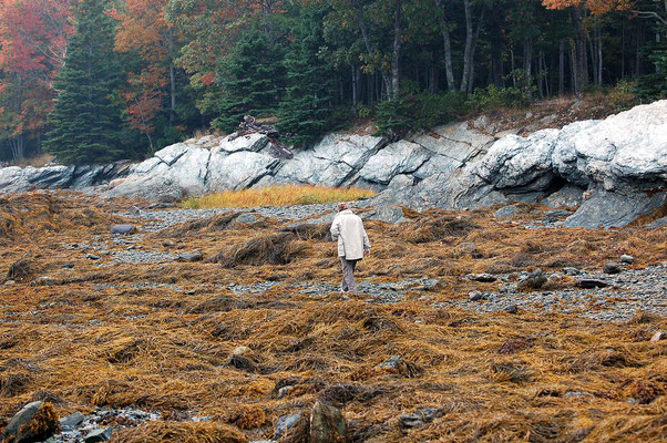 Lamoine State Park