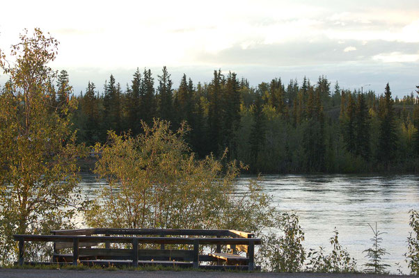 Blick vom R.V. Park auf den Yukon River