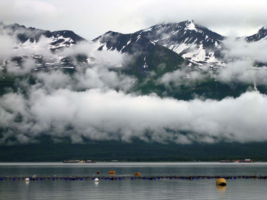 Prince William Sound