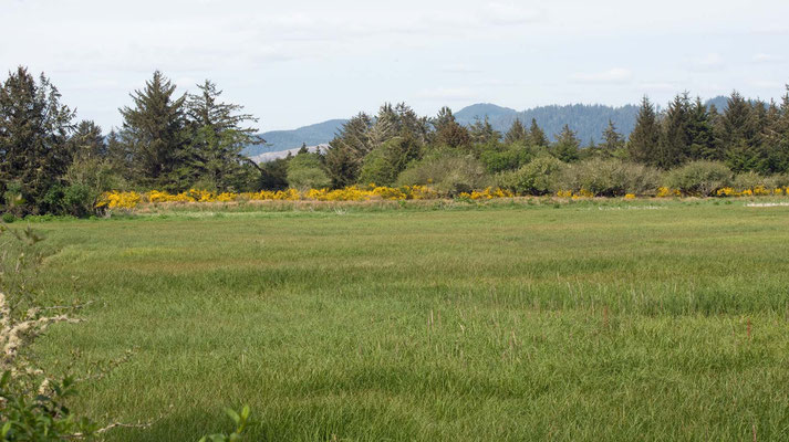 Fort Stevens State Park