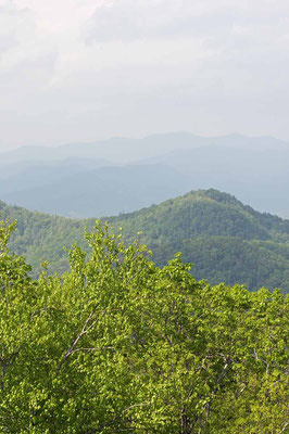 Blick vom Blue Ridge Overlook, Black Rock Mountain State Park