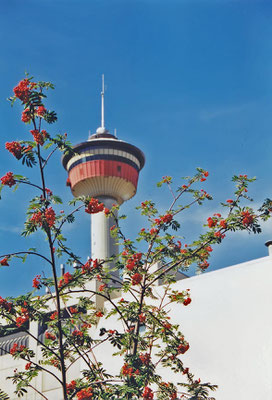 Calgary Tower