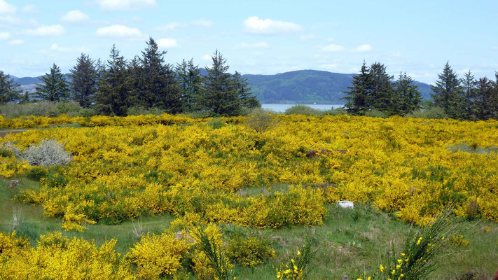 Fort Stevens State Park