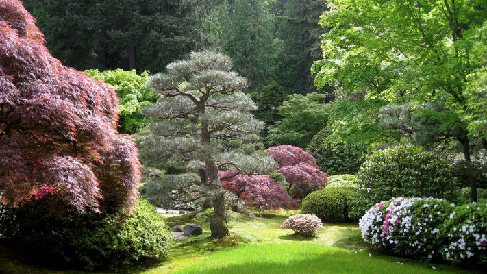 Japanischer Garten, Washington Park, Portland