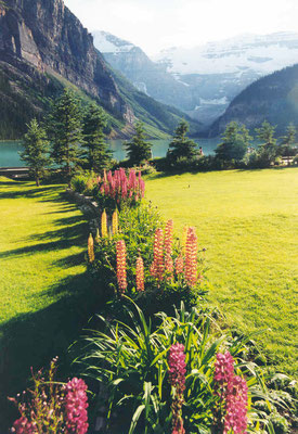 Lake Louise