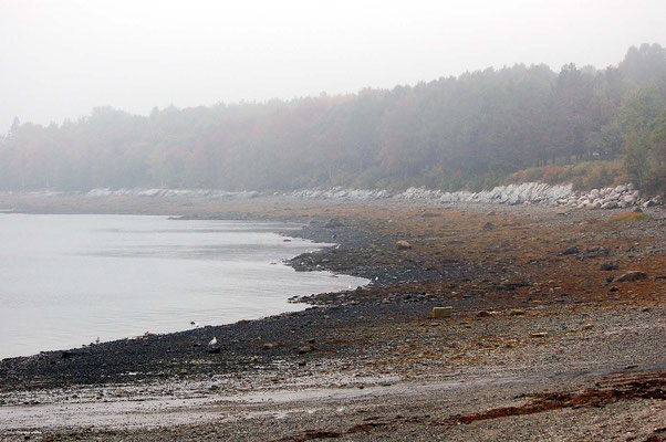 Lamoine State Park