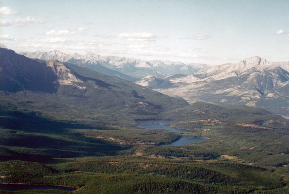 Blick auf Patricia und Pyramid Lake