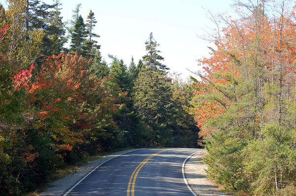 Wonder Land, Acadia