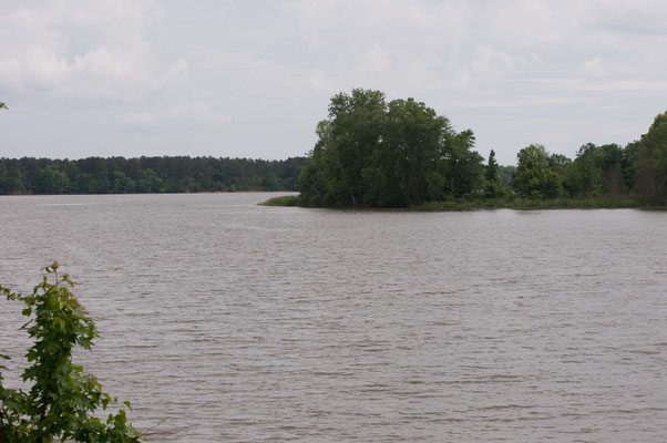 Florence Marina State Park