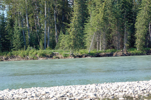 Athabasca River