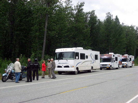 Rast am Richardson Highway