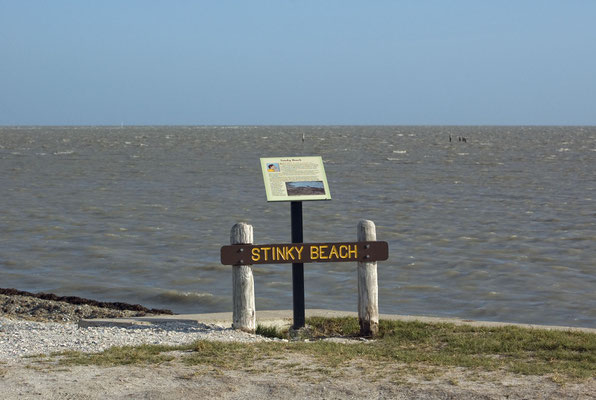 Stinkender Strand? Nur im Sommer, wenn die Meeresvegetation unter der heißen texanischen Sonne verfault.