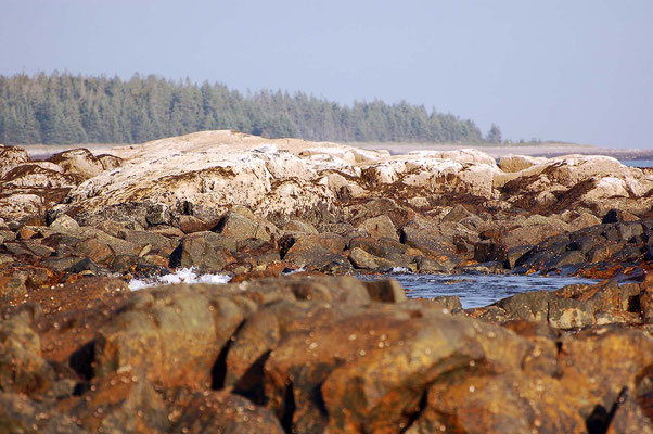 Acadia, Seawall