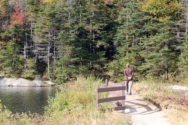 Beaver Pond,  Lost River Rd Woodstock, New Hampshire