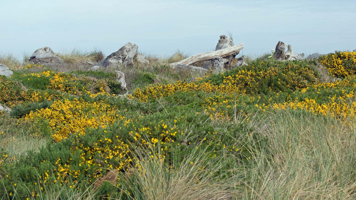 Coquille River North Jetty, Oregon