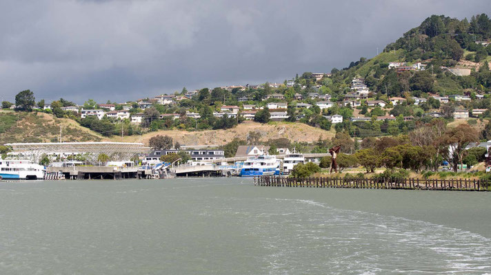 Larkspur Ferry Terminal