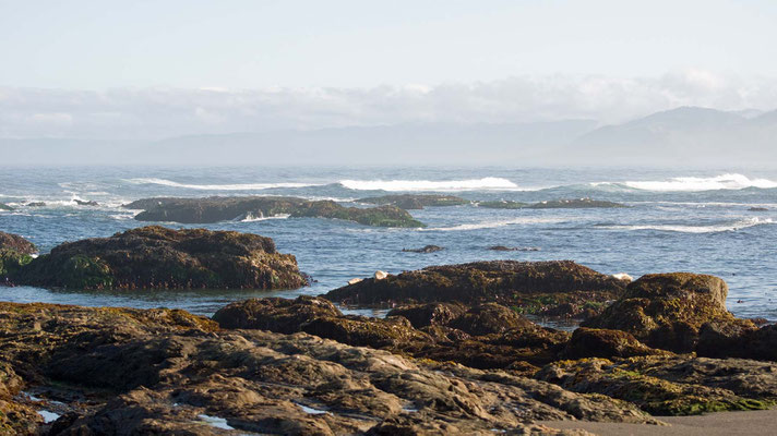 MacKerricher State Park, California