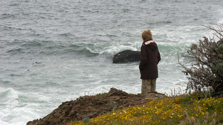 Carmet Beach, Sonoma Coast State Beach, California