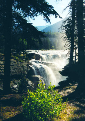 Athabasca Falls