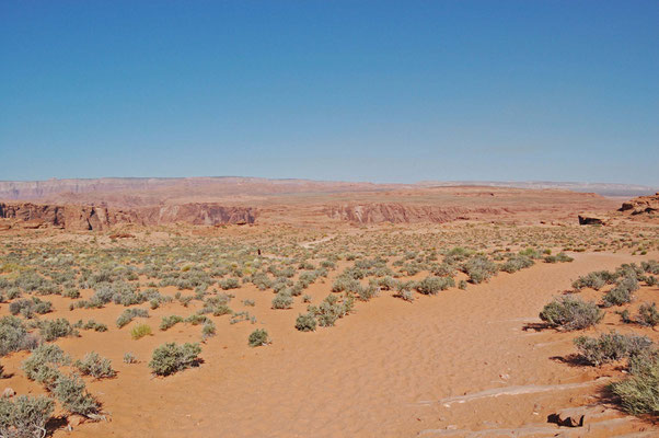 Horseshoe Bend Observation Area