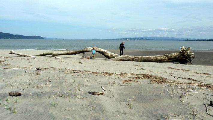 Fort Stevens State Park