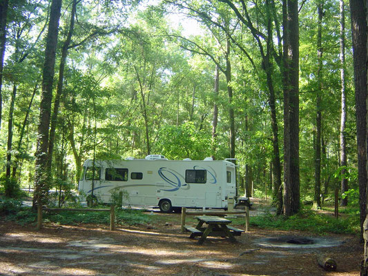 Suwannee River State Park