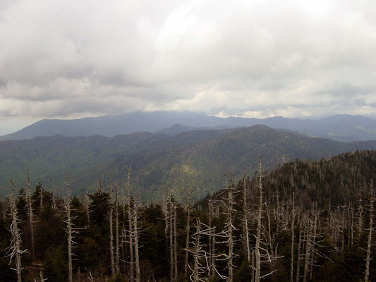 Smoky Mountains 