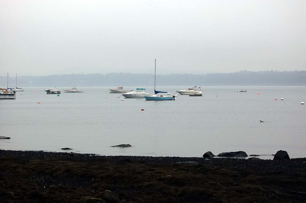 Lamoine State Park