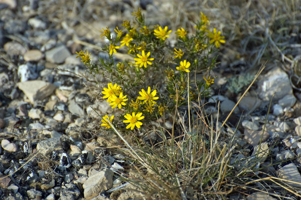 Seminole Canyon State Park