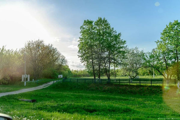 2021р. Піщанське лісництво, "Рябі ворота". (Автор фото: Васильківська Наталя)