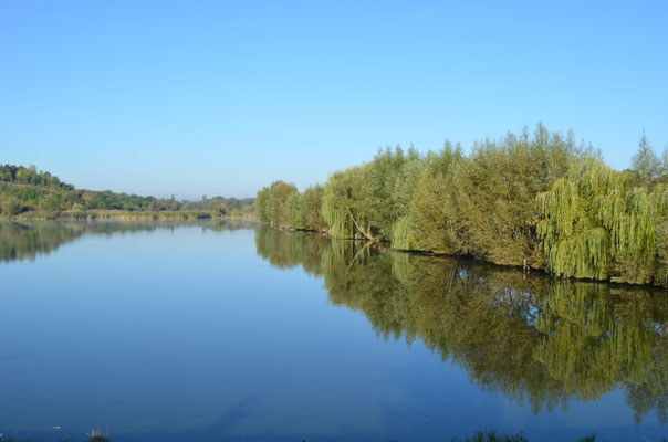 Фото з Вікіпедія