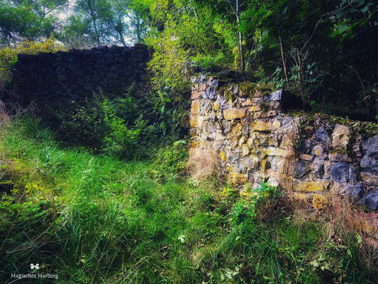 Ruine der Wenigenburg unterhalb der Amöneburg