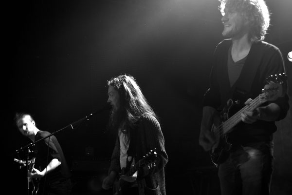 iguana-band-live-chemnitz-2016