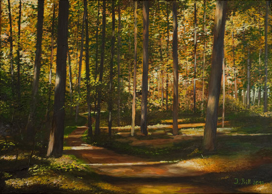 Bunter Wald, 50 x 70 cm (Oil on canvas)