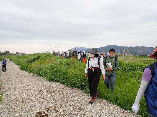 遠くに見える筑波山。筑波山の湧水が桜川に流入しています。