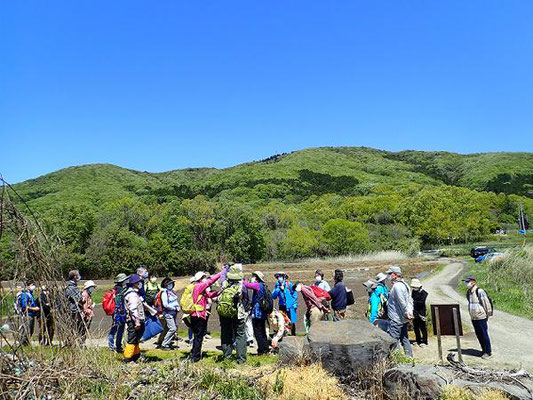 山を遠望しながら地質と植生変化について