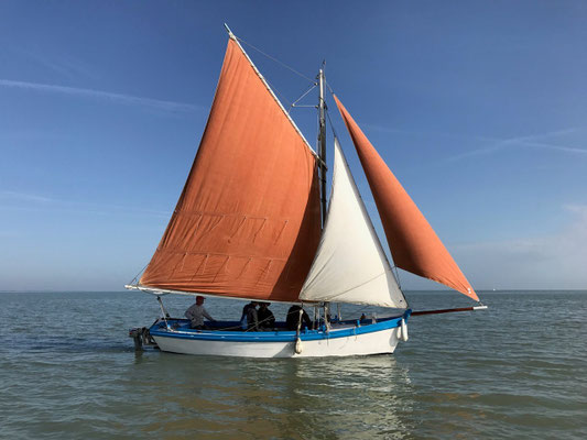 Libellule,, vieux gréement, Bourcefranc-Le Chapus, Pays Marennes-Oléron, Charente-Maritime
