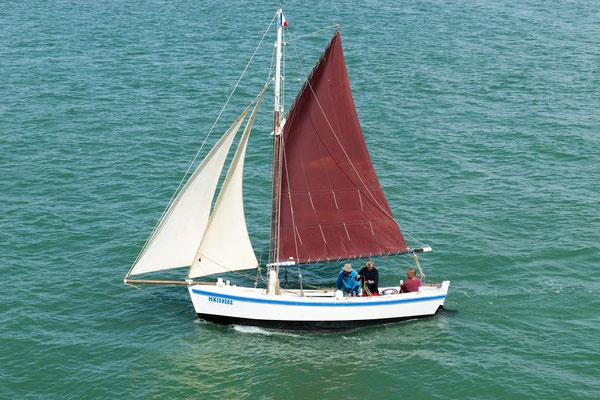 Talion, vieux gréement, Bourcefranc-Le Chapus, Pays Marennes-Oléron, Charente-Maritime