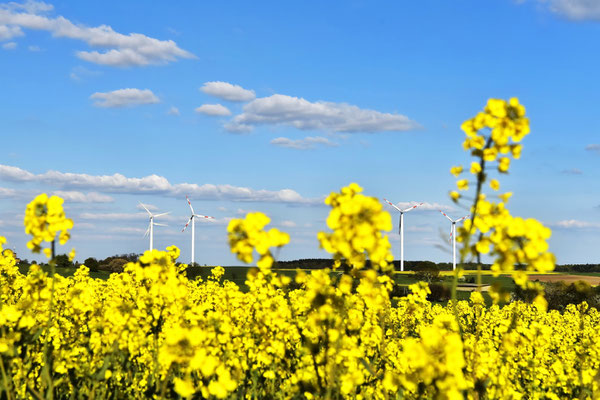 21/17 Energiewende