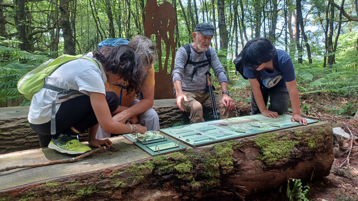 On creuse nos méninges !
