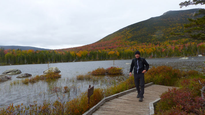 Baxter State Park; auf der "Moose-Suche"; leider ohne Erfolg