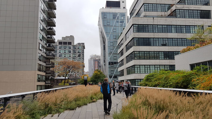 auf der High Line unterwegs