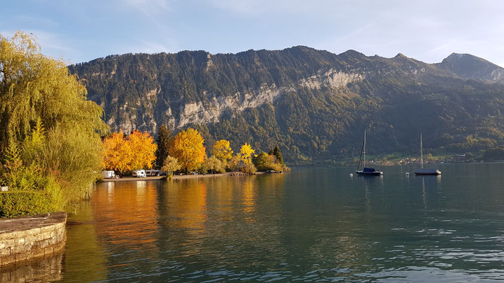 Campsite direkt am Thunersee auf dem Manor Farm Camping in Interlaken