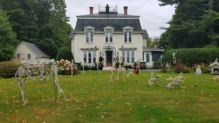 Vorbereitung auf Halloween