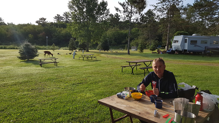 Frühstück mit Reh und Gänsen in Mercer, WI