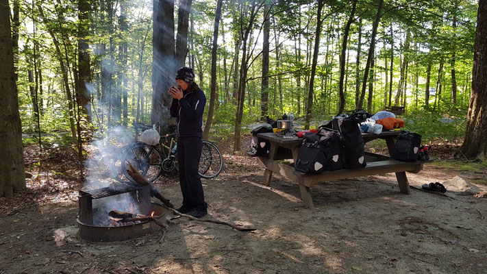 Clarksburg State Park, MA (Morgenkaffee)