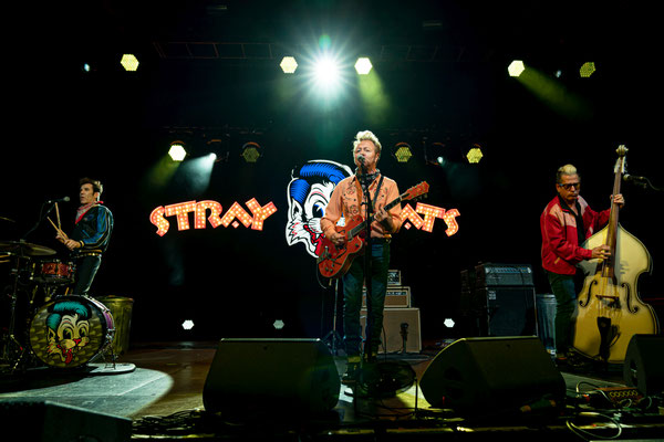 Stray Cats 2019, Columbiahalle Berlin, Foto: Dirk Pagels, Fotograf in Teltow, Kleinmachnow, Stahnsdorf, Potsdam, Berlin, Bundes- Weltweit
