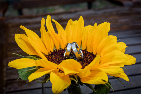 Hochzeit im Juli 2017, Foto: Dirk Pagels, Hochzeitsfotograf in Teltow, Kleinmachnow, Stahnsdorf, Potsdam, Berlin, Bundes- Weltweit