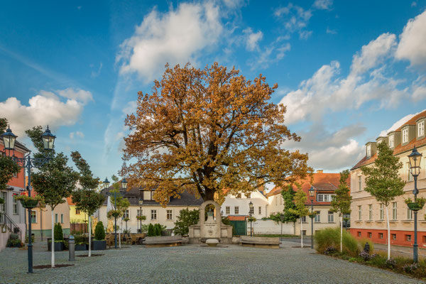 Herbst auf dem Marktplatz Teltow, Foto: Dirk Pagels, Fotograf in Teltow, Kleinmachnow, Stahnsdorf, Potsdam, Berlin, Bundes- Weltweit